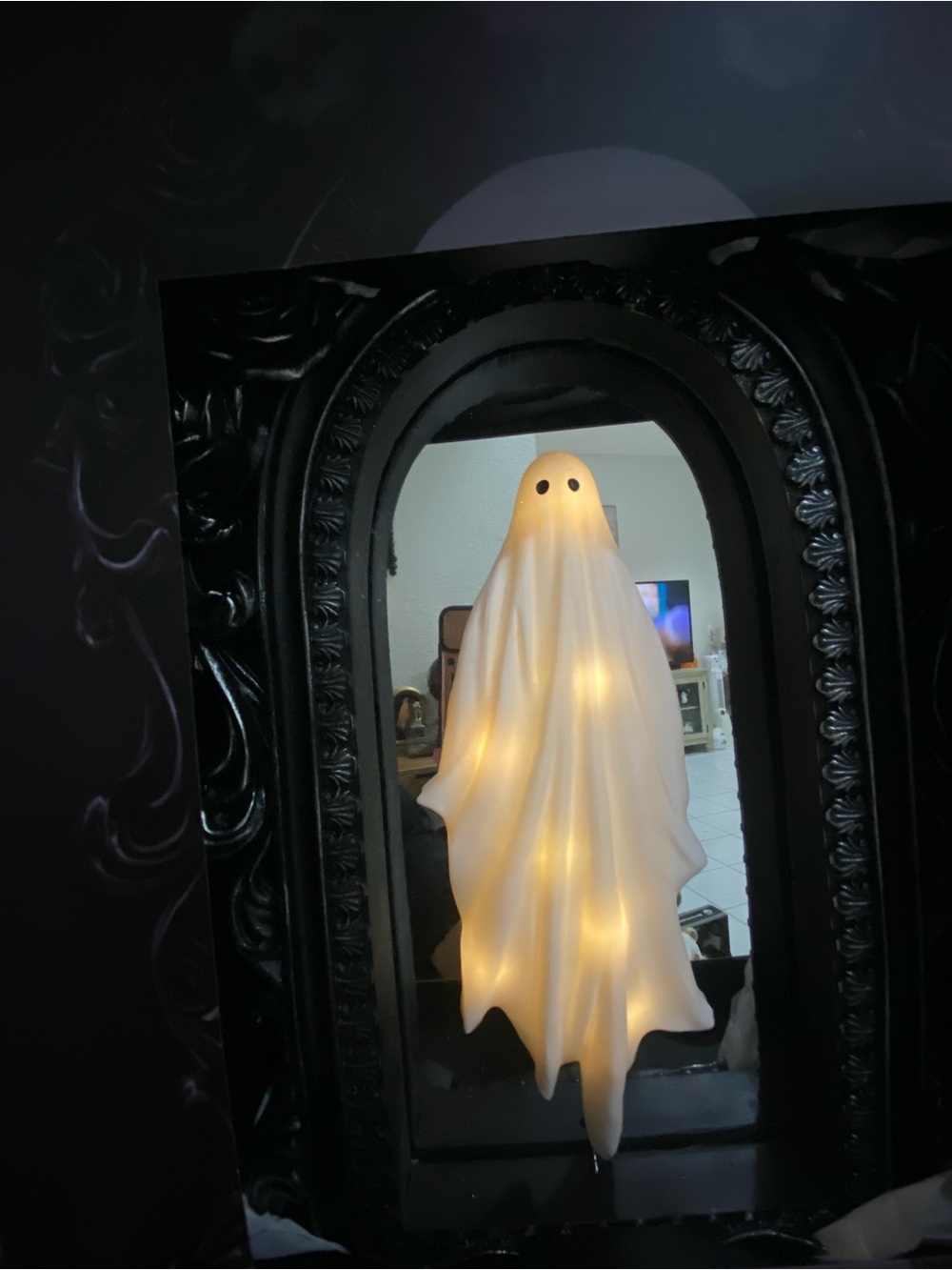 Christian Siriano White ghost Light-Up mirror- black framed